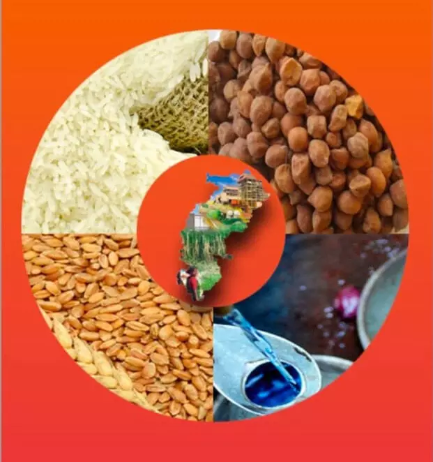 3811031-untitled-45-copy