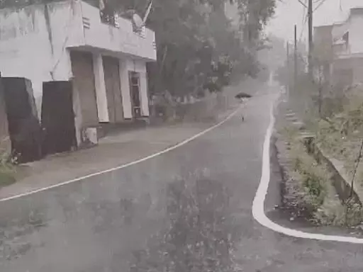 3811393-untitled-52-copy