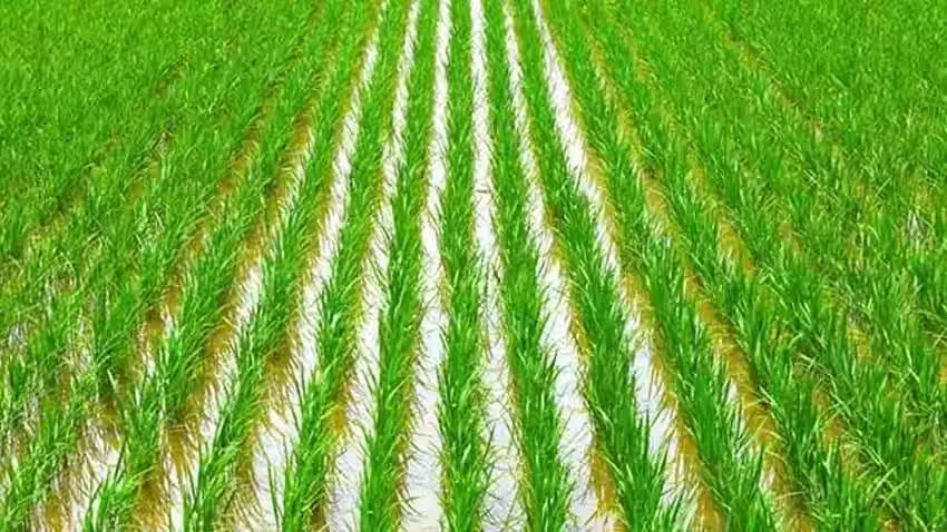 3863982-untitled-67-copy