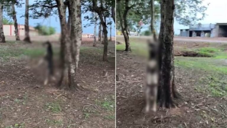 BeFunky-design-6-1-1-1-1024x576