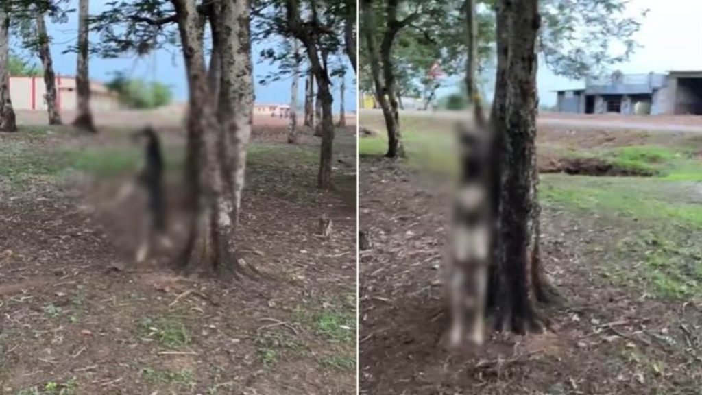 BeFunky-design-6-1-1-1-1024x576