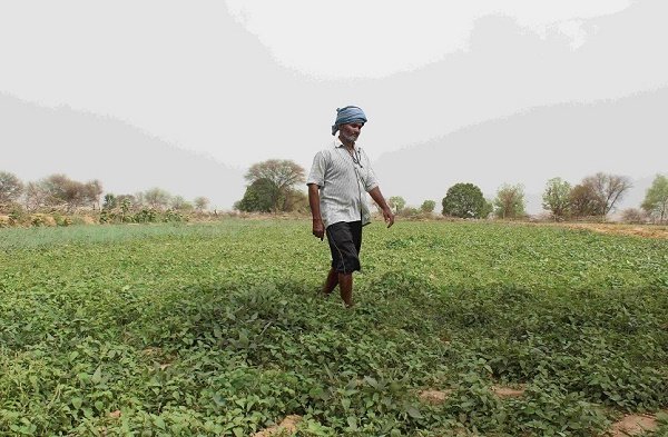 20221109193151_khetibaadi dalhan01