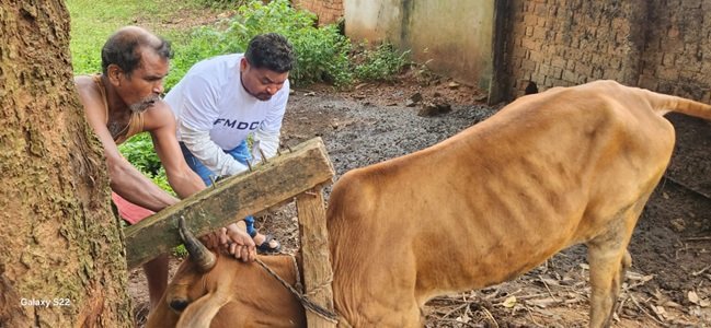 20240816105734_550 (1)