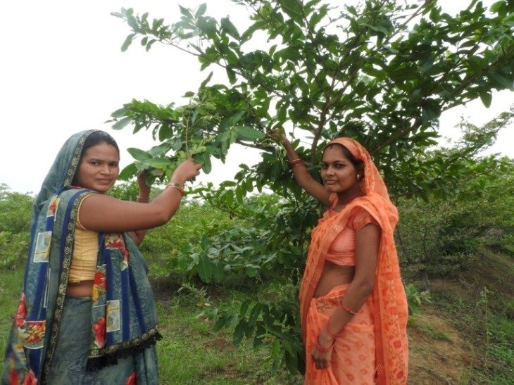 20240829161238_kosafal