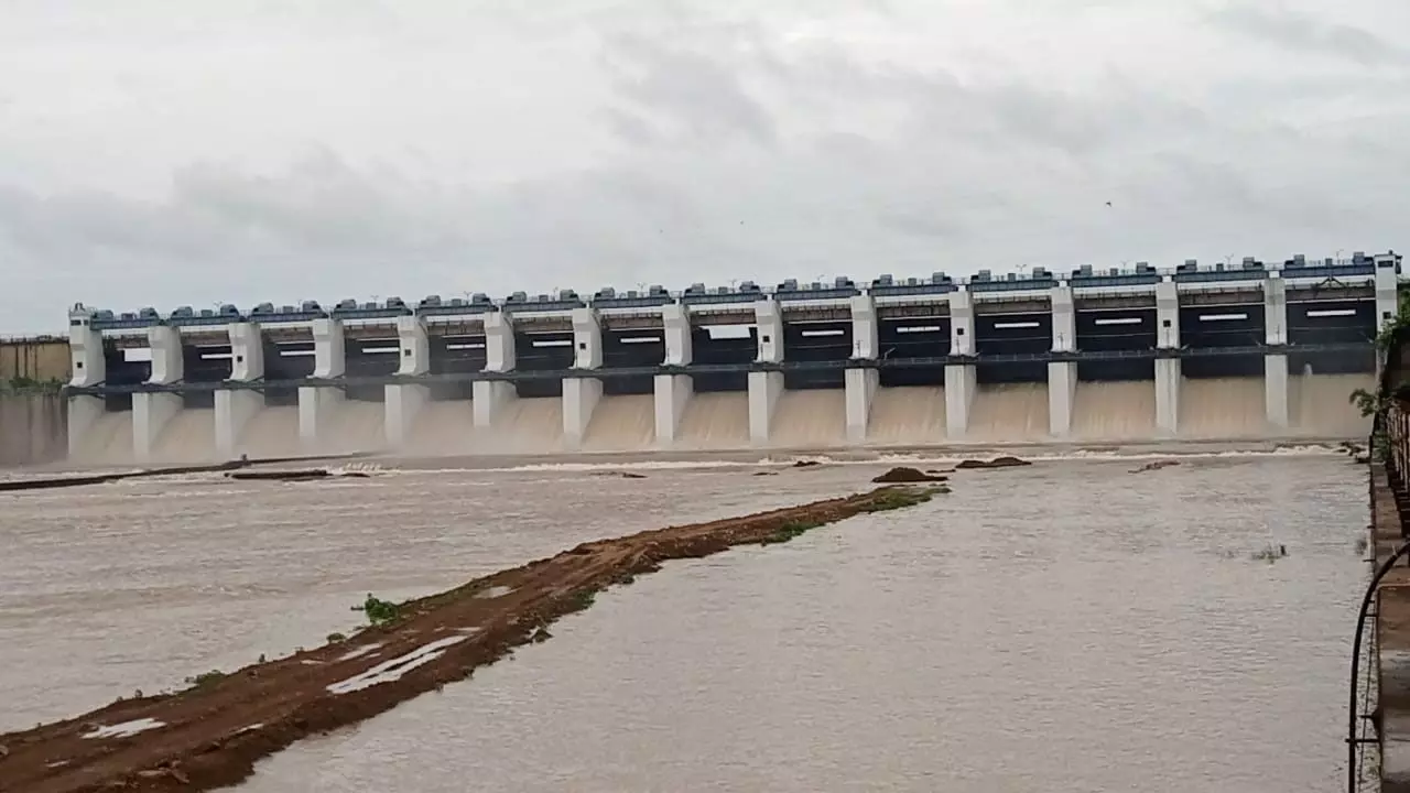 3919661-untitled-21-copy