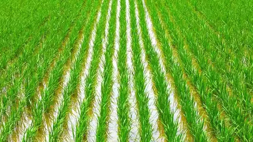 3921377-untitled-66-copy