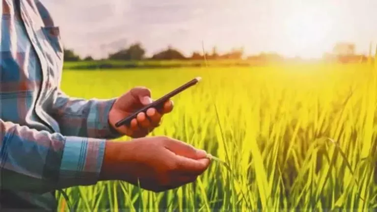 3975204-untitled-47-copy