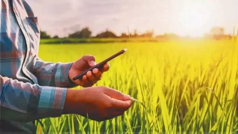 3975204-untitled-47-copy