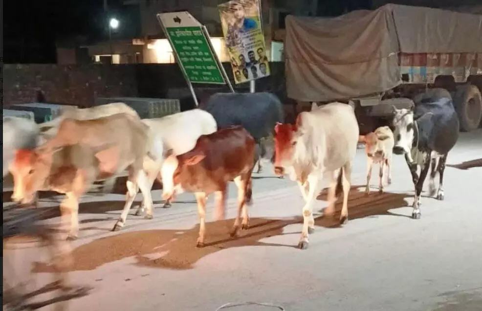 3987904-untitled-62-copy