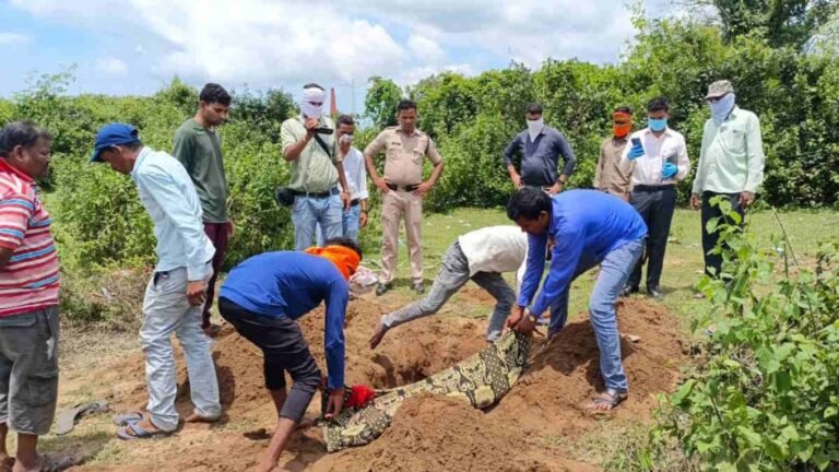 dead112-1024x576 (1)