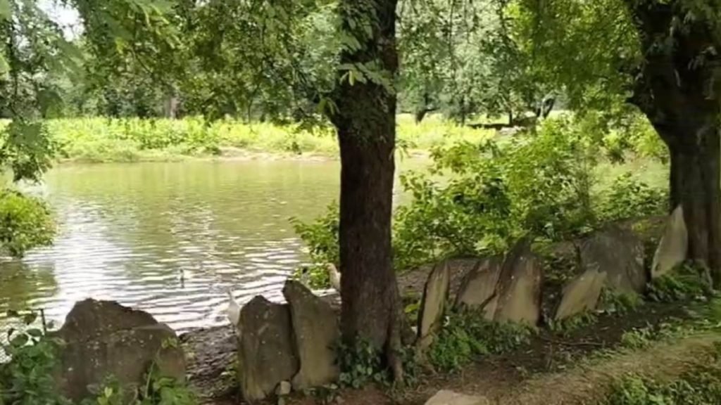 image-2024-08-26T130335.618-1024x576