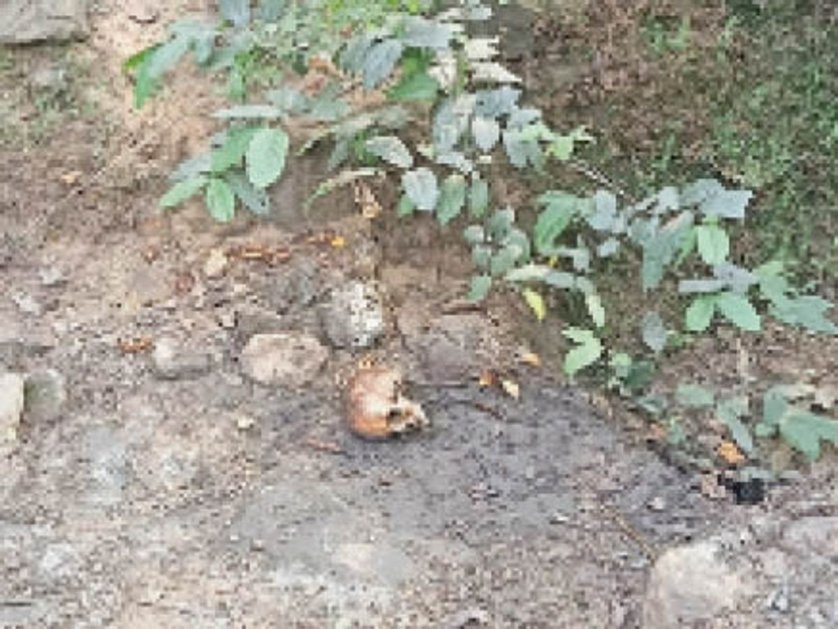 orig_22raigarh-pullout-pg3-0_1603394614