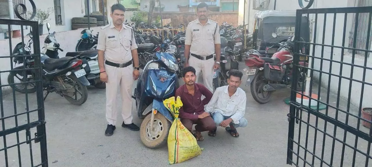 4003353-untitled-3-copy