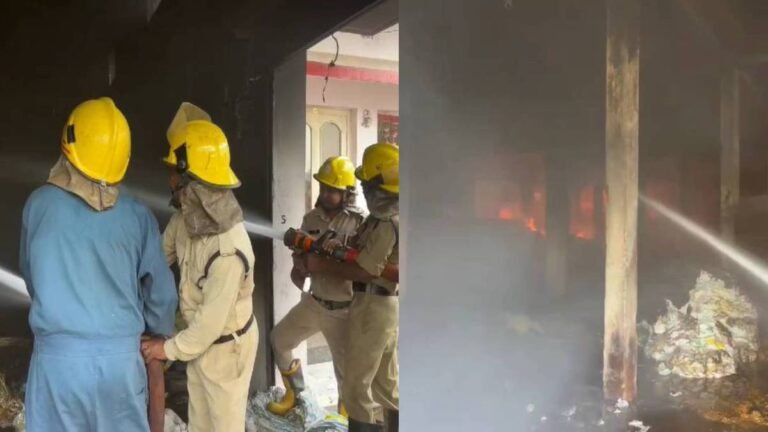 BeFunky-collage-5-1-1