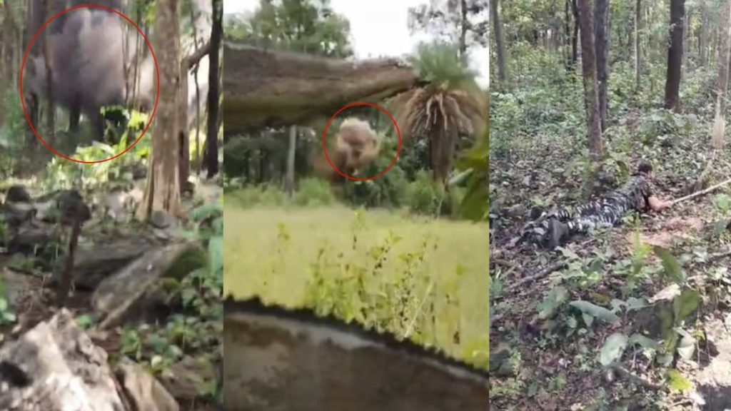 BeFunky-design-8-1-7-1024x576