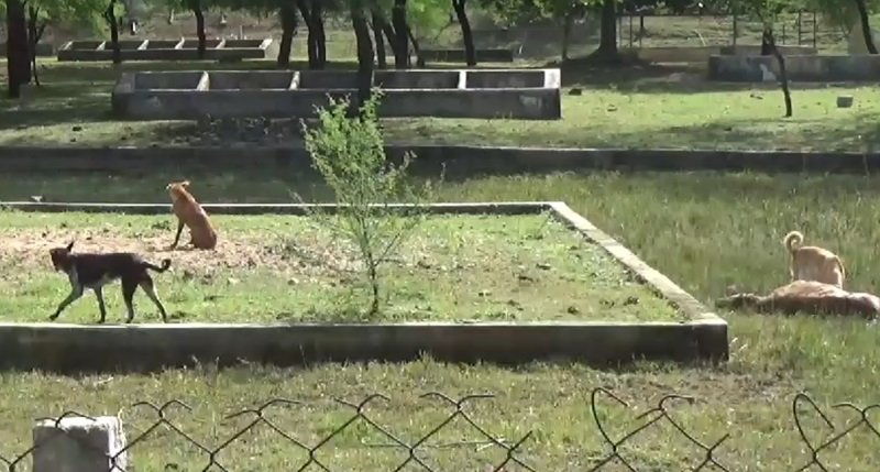 20241011125126_gaay maut