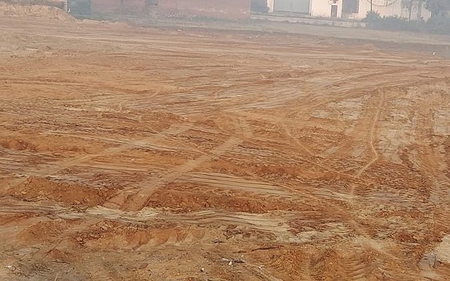 20241024145109_taalab gaayab