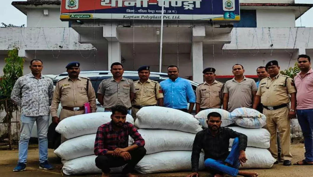 4083539-untitled-37-copy