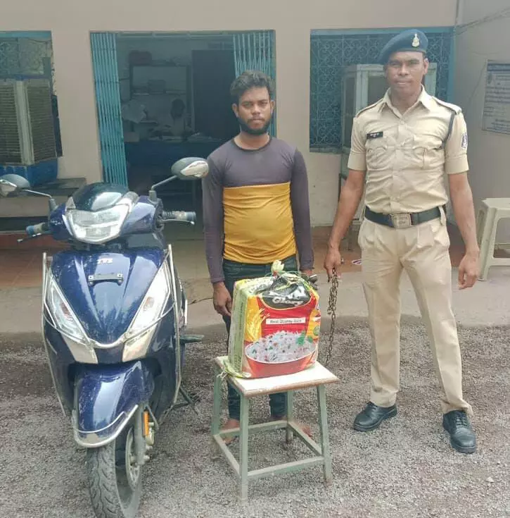 4129628-untitled-41-copy (1)