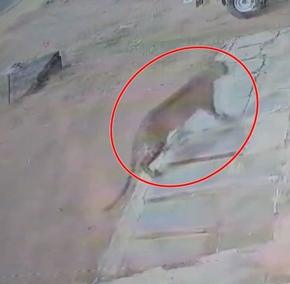 BeFunky-design-2-1-9-1024x576