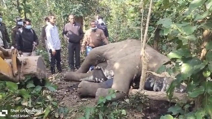 20241129115605_hathni