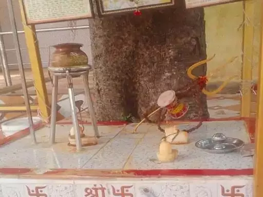 4147100-untitled-42-copy