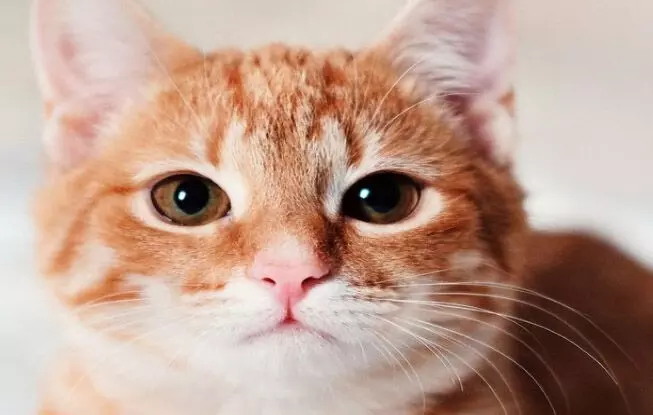 4148104-untitled-24-copy