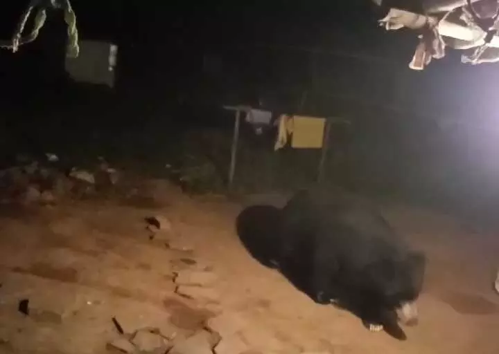 4148774-untitled-42-copy