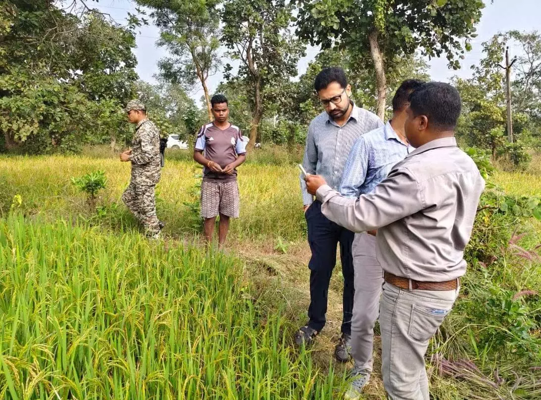 4149062-untitled-2-copy