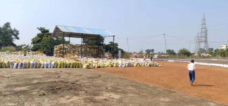 4159329-untitled-52-copy