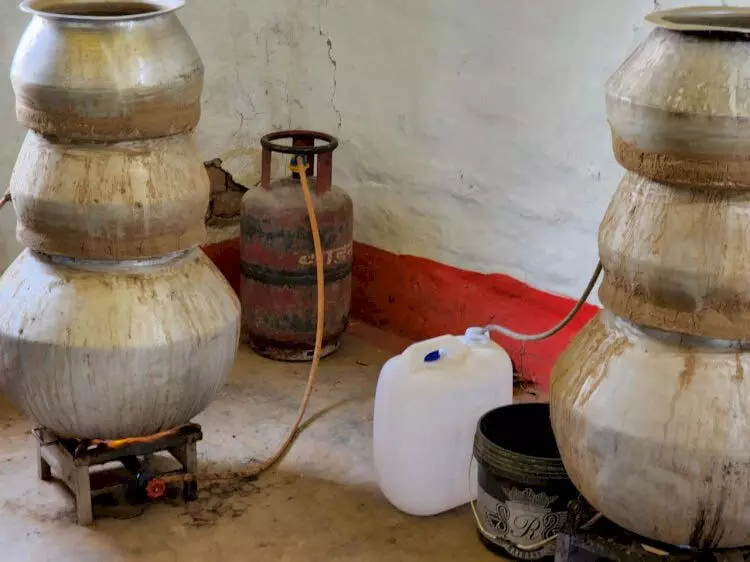 4159458-untitled-57-copy