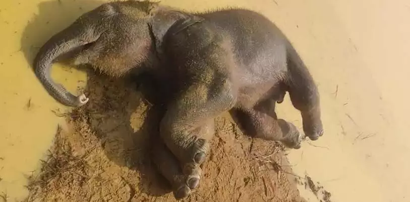 4177031-untitled-12-copy