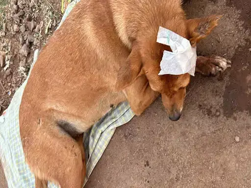 4186682-untitled-33-copy