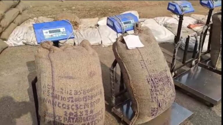 WhatsApp-Image-2024-11-23-at-5.24.22-PM-1024x576