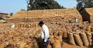 download - 2024-11-27T164725.214