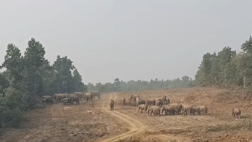 image-2024-11-22T172545.691