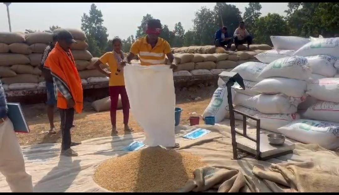 20241130191751_dhan kharidi ki