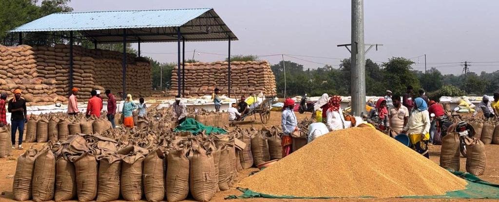 20241210155505_Dhan kharidi (2)