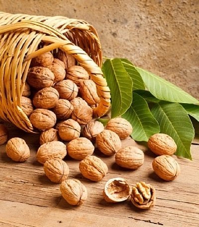 20241211090553_health1