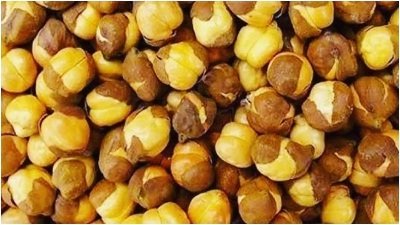 20241213090756_health2