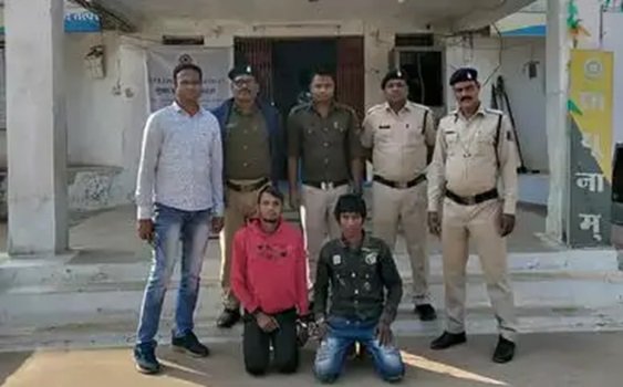 20241218113749_aaropi