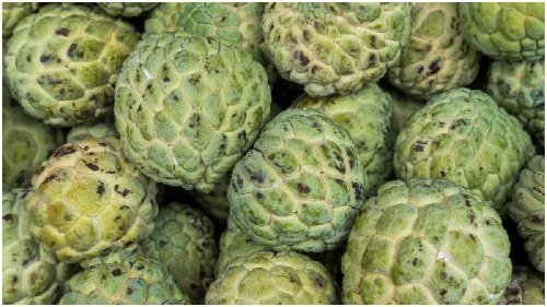 20241229090557_health2