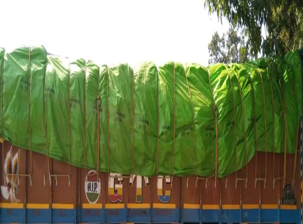 4201732-untitled-6-copy