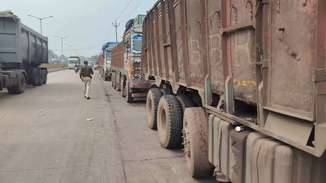 4202664-untitled-22-copy