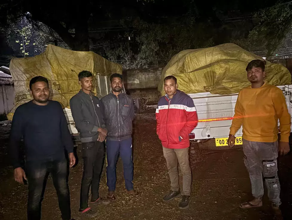 4205050-untitled-19-copy