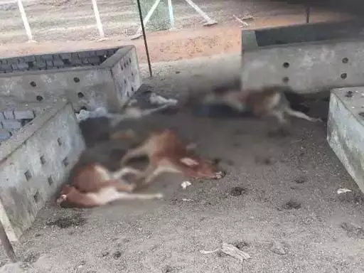 4209145-untitled-34-copy