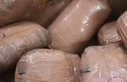 4209795-untitled-6-copy