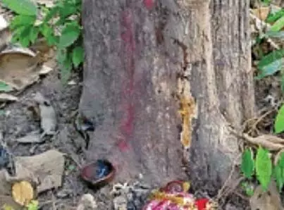 4254706-untitled-43-copy