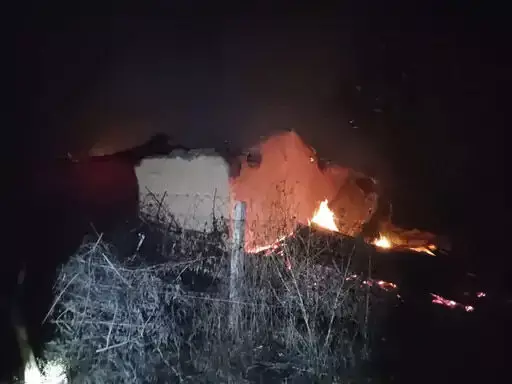 4256806-untitled-53-copy