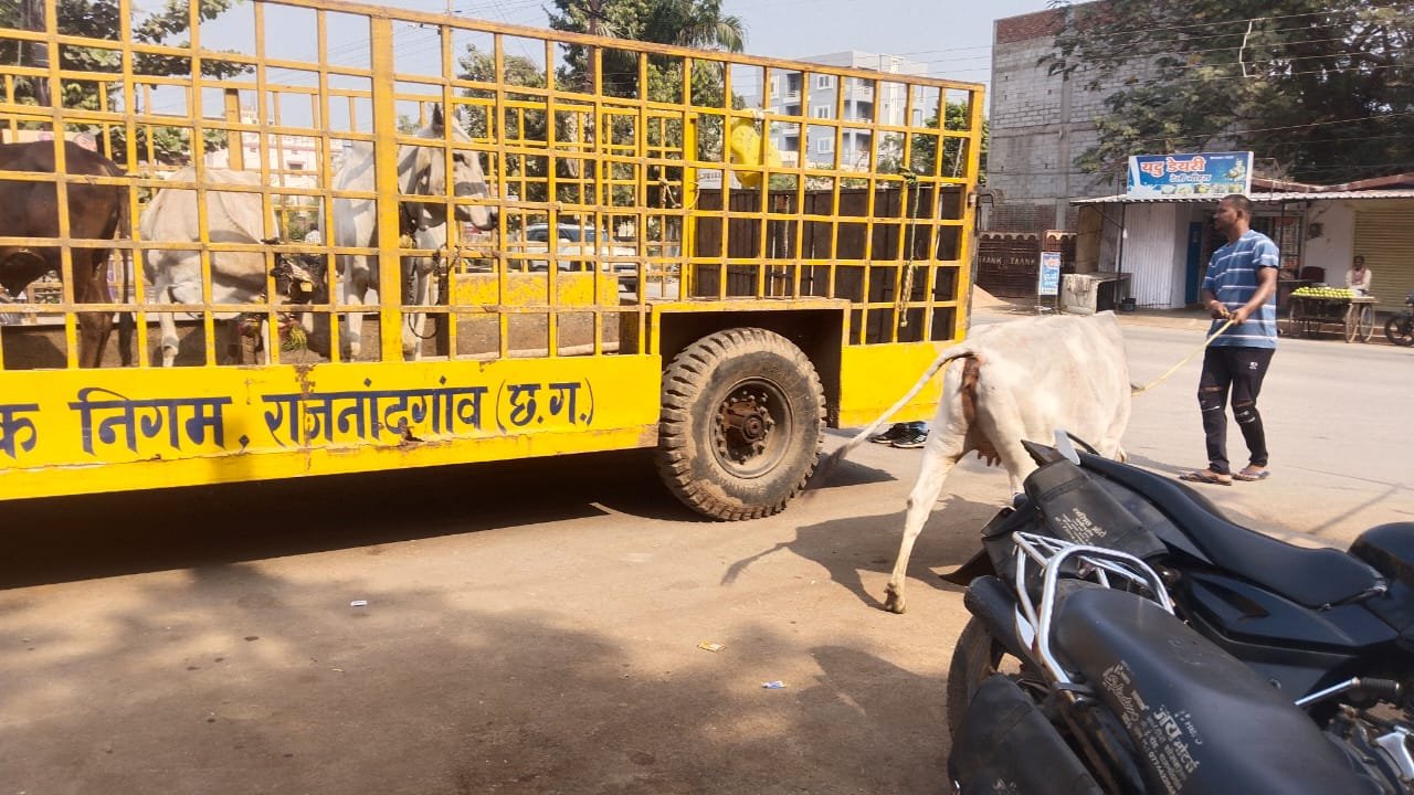 a5ca0909-98ec-4357-acb1-5181fd3511de